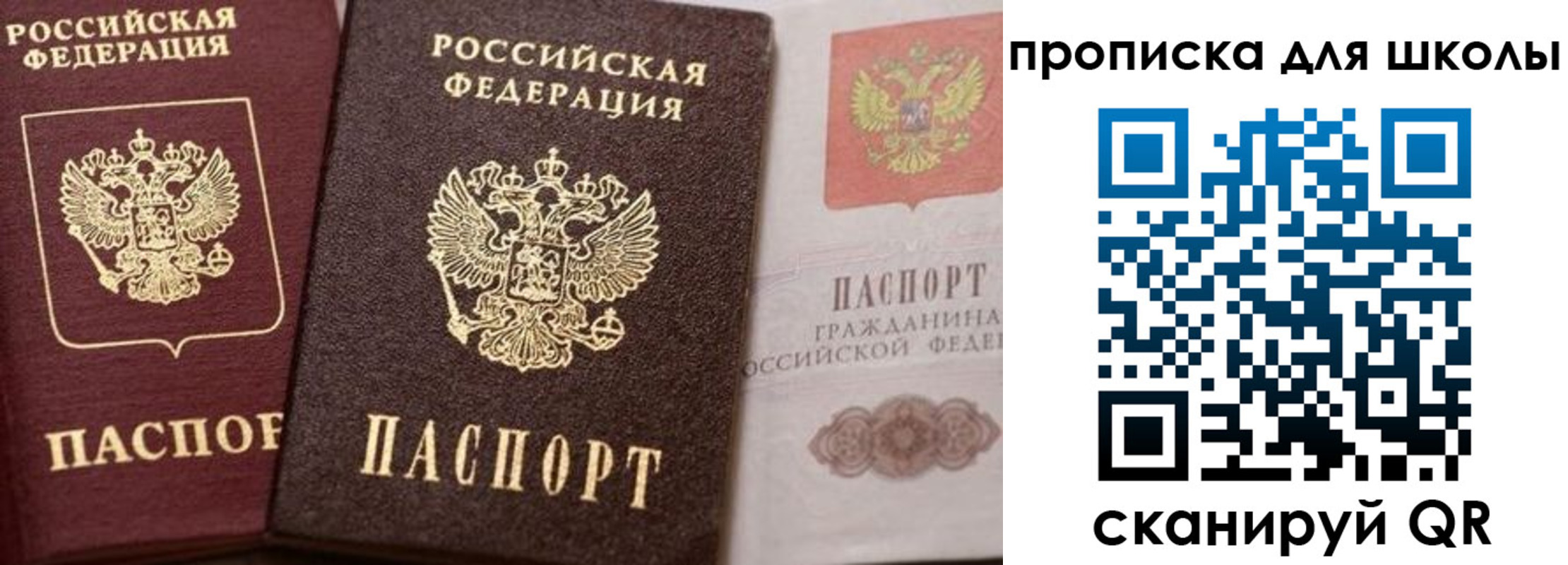 прописка законно в Курчалом